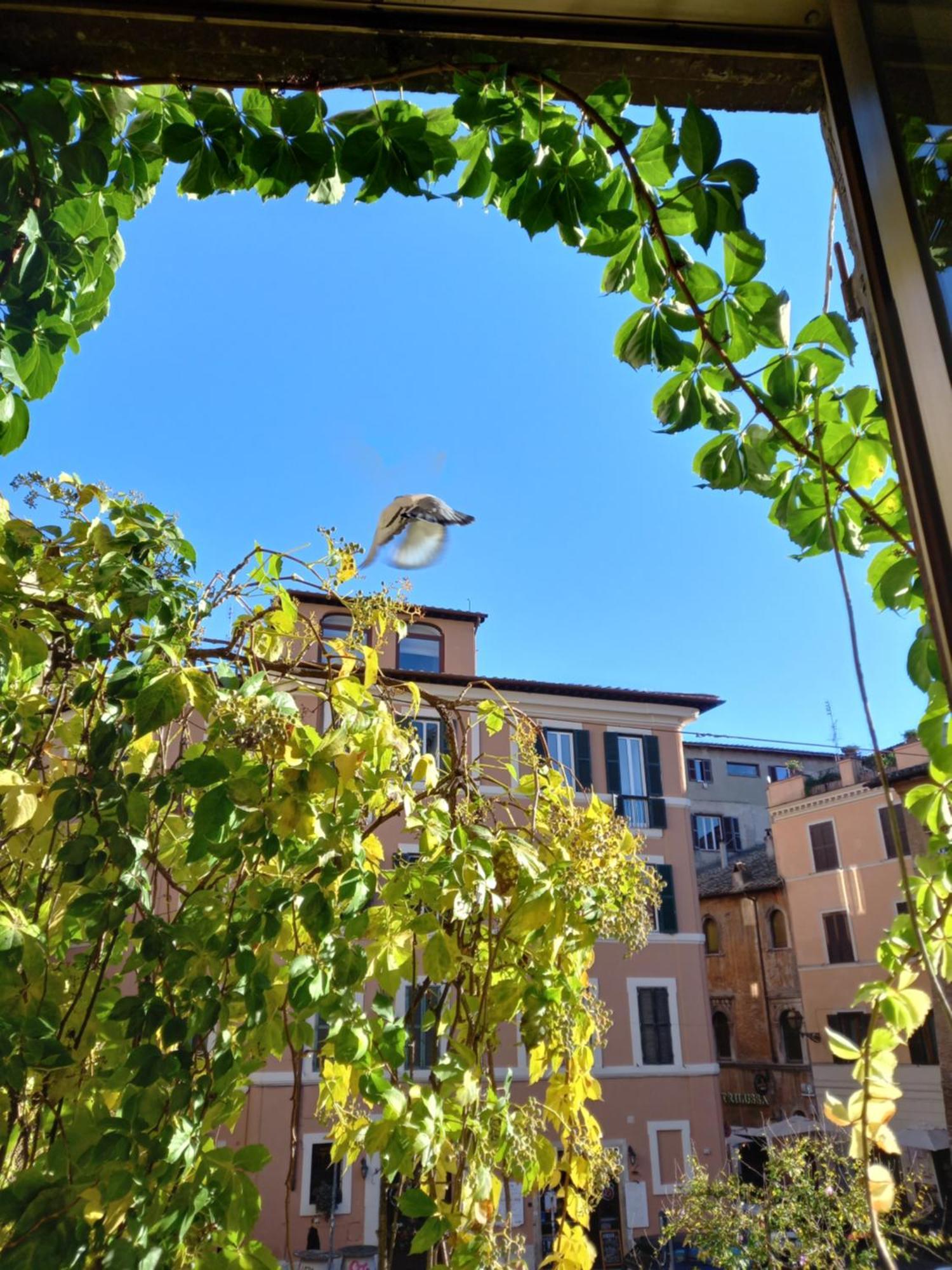 In Trastevere Lejlighed Rom